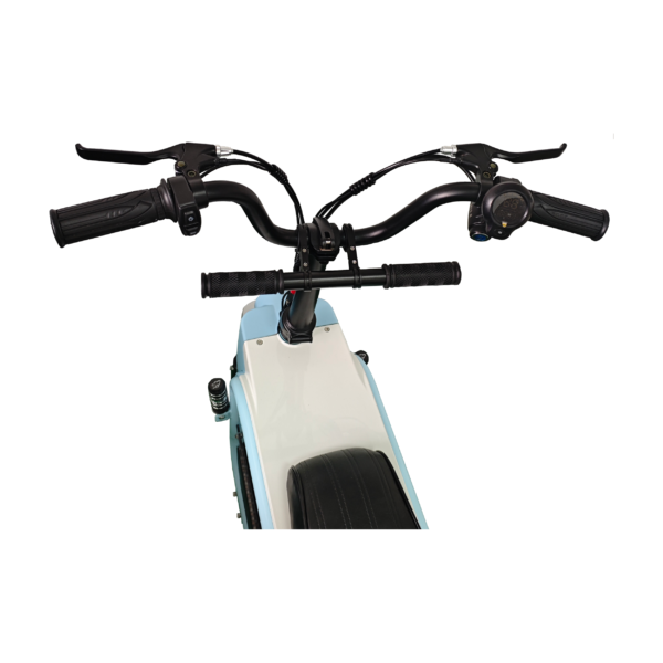 AKU PRO Ebike Manufacturer Mini Scooter E-Scooter 48V500W - Image 8