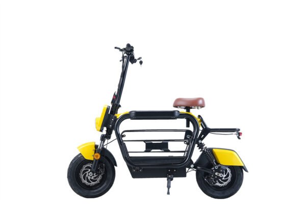 Factory Direct Ebike A3 PET DUAL Mini Scooter E-Scooter 48V500W*2 Dual Motor Ebike